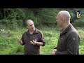 Natuur en Zo TV - de geelbuikvuurpad (1)