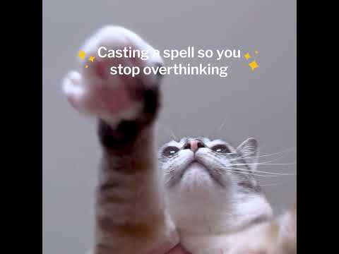 Cat casting a spell