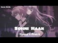 Sohni haan (Slowed + Reverb) | Afan | Naiqra | Urban rularz |