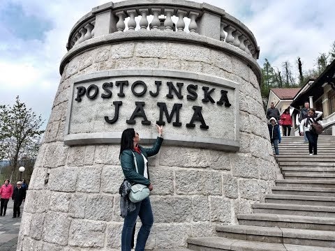 Nature's miracle | POSTOJNA CAVE | SLOVENIA