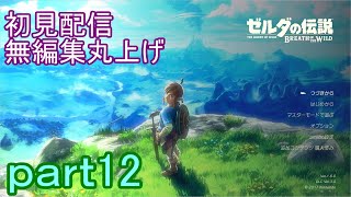 【初見配信】ゼルダの伝説　ブレスオブザワイルド　12日目【無編集丸上げ】