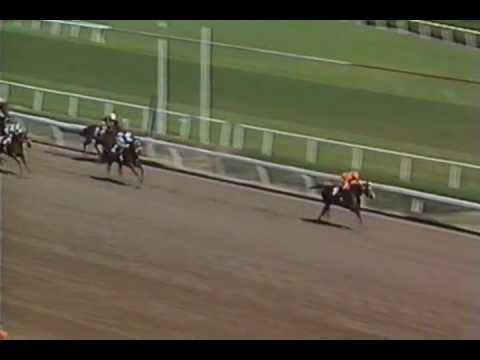 1987 Breeders' Cup Sprint - Very Subtle