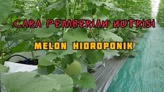 Download lagu Part 2 Budidaya Melon Hidroponik Sistem Fertigasi tetes (Cara Pemberian Nutrisi & Keuntungan Usaha) mp3 Download lagu Part 2 Budidaya Melon Hidroponik Sistem Fertigasi tetes (Cara Pemberian Nutrisi & Keuntungan Usaha) mp3