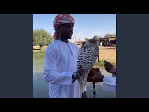 Same Place Freestyle