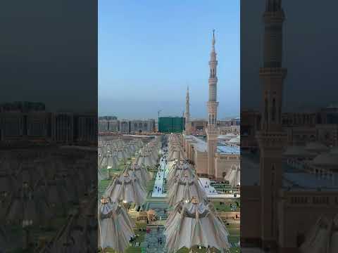 El reflejo de Mufasa || SubhanAllah view from my room #theoberoimadinah 😇