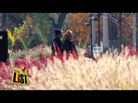 Cincinnati Music Hall Video 2