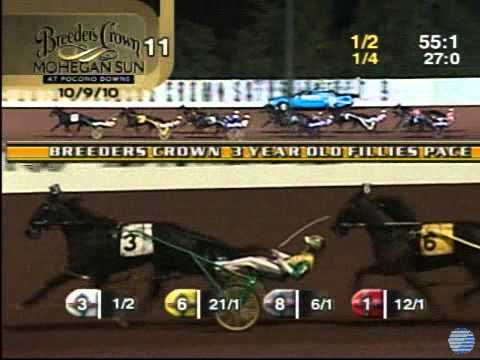 2010 Breeders Crown 3YO Filly Pace - theharnessedge.com