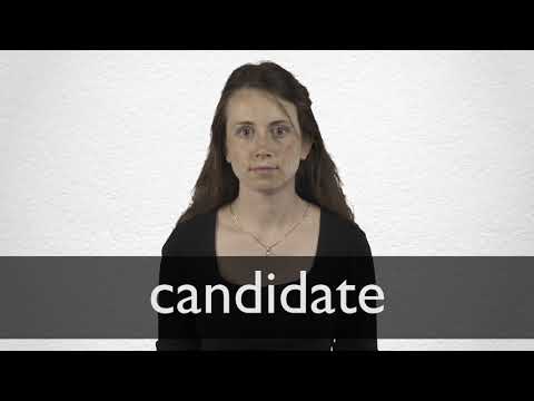 Candidate synonyms - 607 Words and Phrases for Candidate