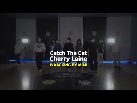 [송파댄스학원] Catch The Cat - Cherry Laine #CherryLaine #왁킹 #송파실용무용입시 #실용무용입시 #송파댄스학원 #waacking #MIMI