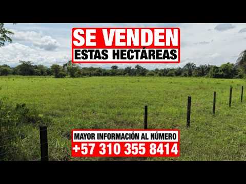🔥(VENDO) – TERRENO DE: (3.5) HECTÁREAS (35.000 M²)🔥Mayor información al: (+57) 310 355 8414🔥