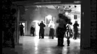 Magnetic Fields - Old Fools (Cellar Lily acoustic cover)