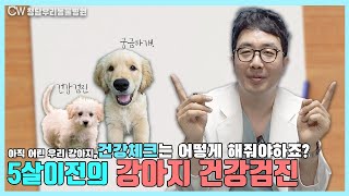 아직 어린 우리 강아지! 건강검진하려면 어떤걸 해야할까요? 이건 꼭 체크해주세요!