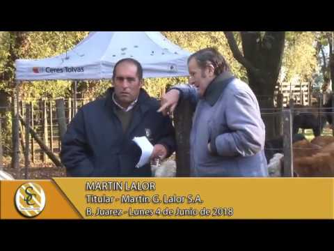 04-06-18 Nota Martin Lalor - Martin G. Lalor S.A. - B. Juarez.