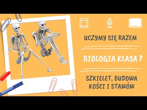 Biologia klasa 7. Szkielet, budowa kości i stawów. Uczymy się razem