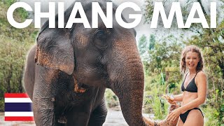 BEST THING TO DO in Chiang Mai Thailand😍🐘