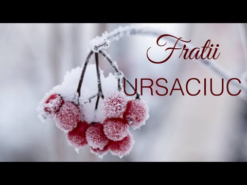 Fratii Ursaciuc | Vestea s-a nascut Hristos