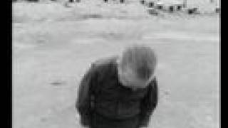 When dwarf parties go bad  pt.3.more chaos