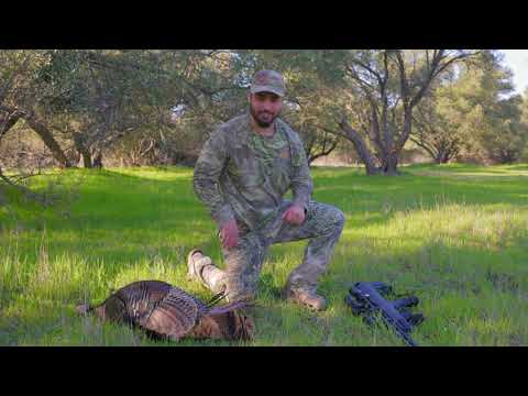 Air Rifle Turkey Hunt / Air Venturi Avenger Bullpup .25