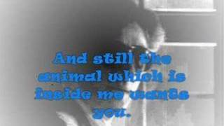 90. The Animal, de Franco Battiato