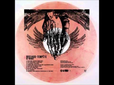 Oiseaux-Tempête - Opening Theme (Ablaze in the Distance) (Dag Rosenqvist remix)