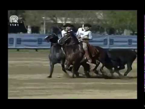 Sul RS – 1° lugar machos – RZ Assim És Embustero da Carapuça-Te