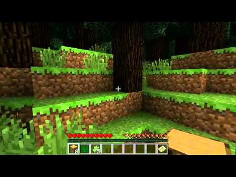 Minecraft Quad-Mountain Survival Part 1 - Animal House Party