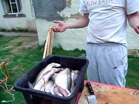 Best wood for smoking haddock | Infuse this white fish with flavor