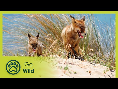 Guadalquivir: Der große Fluss – Go Wild