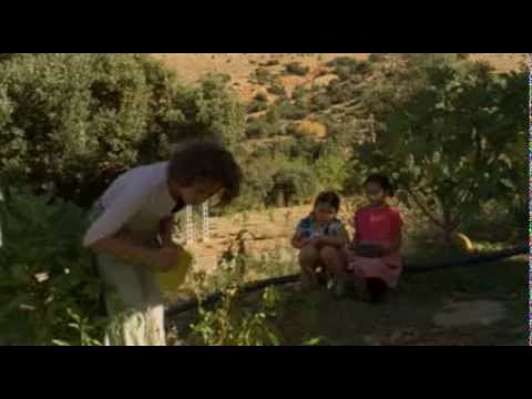 [Exclu] Film algérien Chaoui : La Maison Jaune (VOSTFR)
