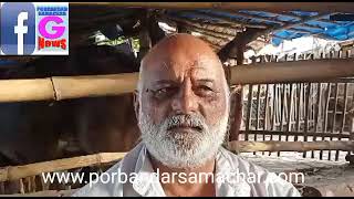 Watch “આવતીકાલે તા.૩૦ માર્ચથી માધવપુર ઘેડનાં મેળાનો પ્રારંભ माधवपुर मेला 2023 का कलसे  प्रारंभ” on YouTube