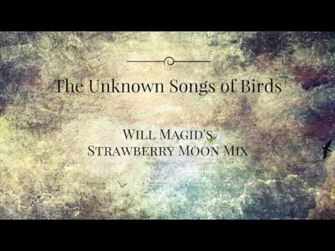 The Unknown Songs of Birds