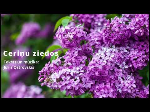 Juris Ostrovskis - Ceriņu ziedos (Jaunums!!!)