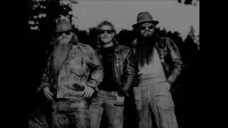 ZZ Top   Can't stop rockin'