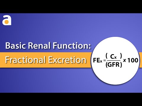 Basic Renal Function: Fractional Excretion