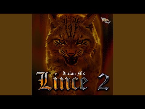 Lince 2