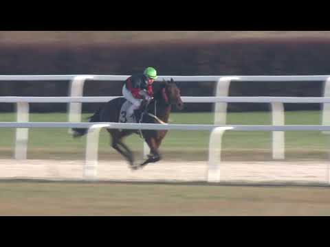 2020.11.22. 07. futam - AMATŐRVERSENY HENDIKEP (V/b.) (szintetikus pálya)