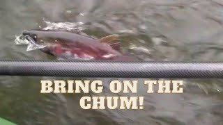 preview picture of video 'Green River Chum Float'
