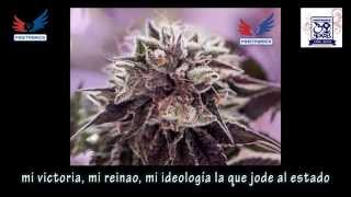 Positronics Vibes: 2 Gordo Master Kush LETRA (subtitulado) Niggaswing, Little Pepe y Gordo Master