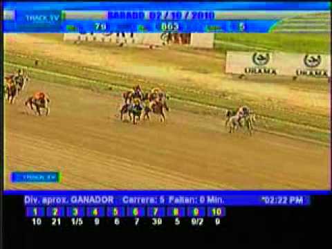 Resumen sábado 2 de octubre 2010 - La Rinconada