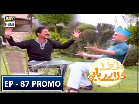 Dilli Walay Dularay Babu Episode 87 ( Promo) - ARY Digital Drama