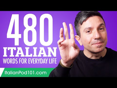 480 Italian Words for Everyday Life - Basic Vocabulary #24