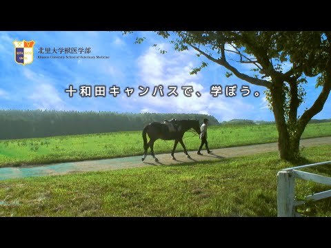 海洋生命科学科 2分で紹介！ 北里大学 獣医学部