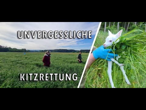 UNVERGESSLICHE KITZRETTUNG - Wir finden weiße Kitze