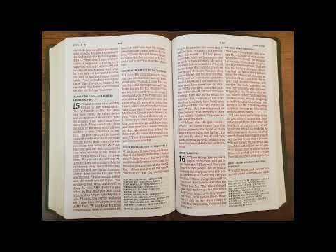 John 15 Nasb
