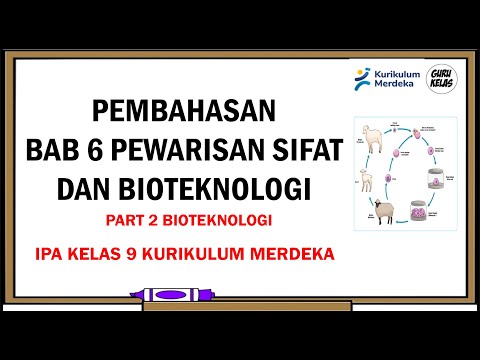 BAB 6 PEWARISAN SIFAT DAN BIOTEKNOLOGI Part 2 (IPA Kelas 9 Kurikulum Merdeka)