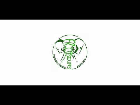 Yes But Nau 2019 -  Trailer by David Orven