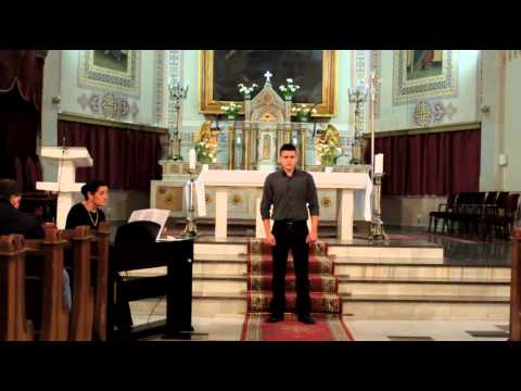 Muzicka skola "Josif Marinkovic" - Igor Mijatovic III razred VIO