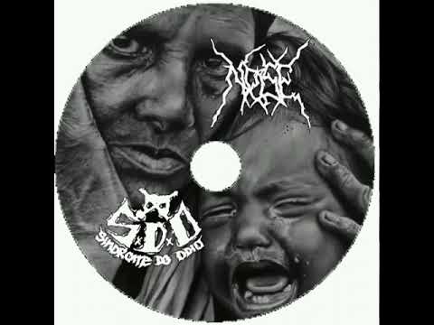 NOISE & SÍNDROME DO ÓDIO -split 2023