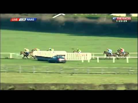 Shaneshill - Irish Stallion Farms E.B.F. Novice Chase - 2015