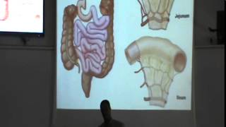 8) Dr. Hossam 3/3/2015 [ Jejunum and Ileum ]